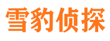 大祥侦探公司